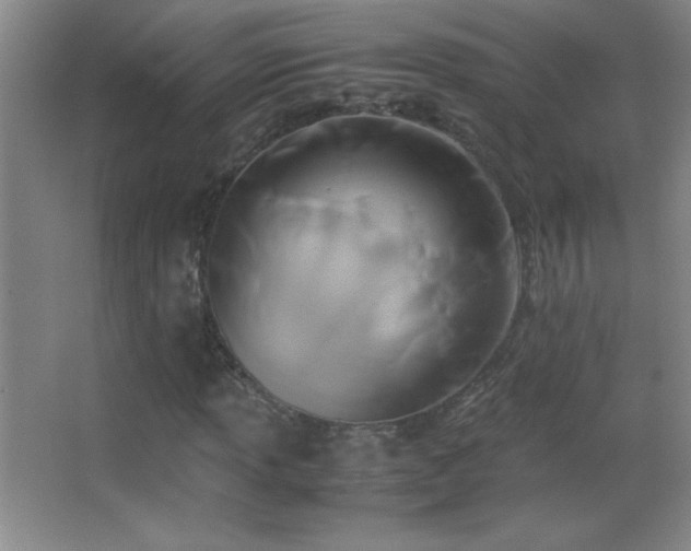 X0000062901013200601131355