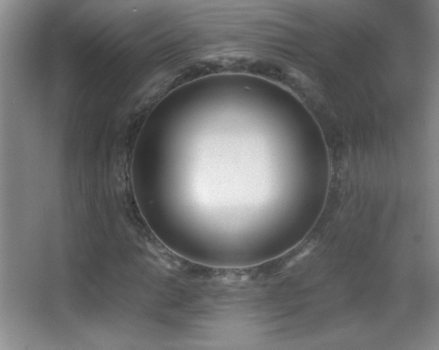 X0000062901014200601131355