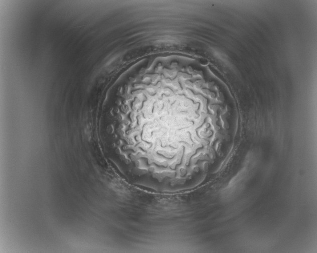 X0000062901015200601131355