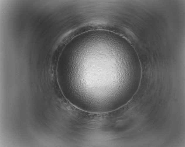 X0000062901016200601131355