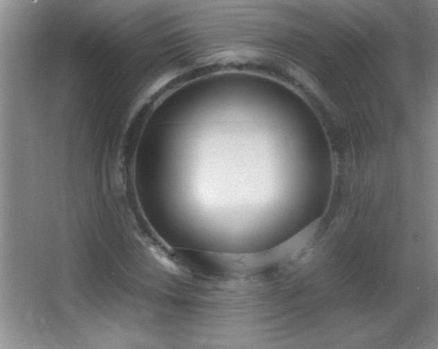 X0000062901018200601131355