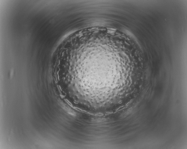 X0000062901019200601131355