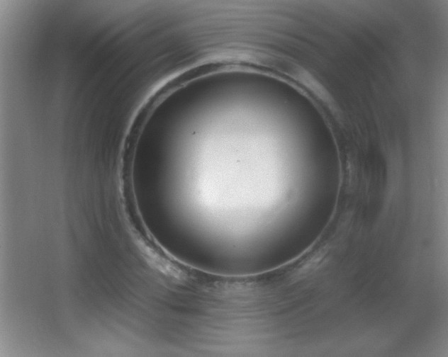 X0000062901020200601131355