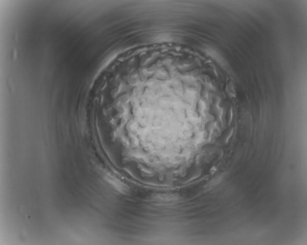 X0000062901023200601131355