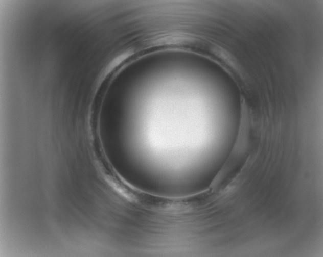 X0000062901026200601131355