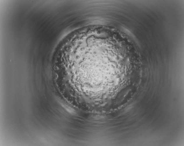X0000062901027200601131355
