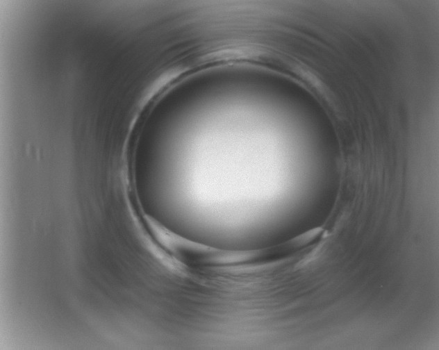 X0000062901034200601131355