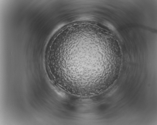 X0000062901043200601131355