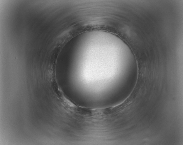 X0000062901062200601131354