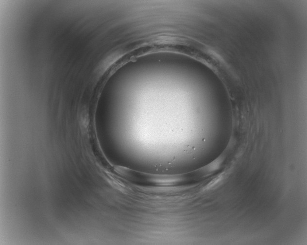 X0000062901065200601131354