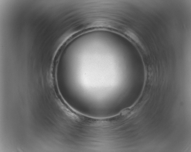 X0000062901068200601131354