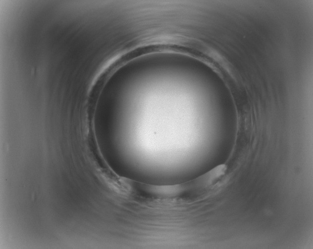 X0000062901069200601131354