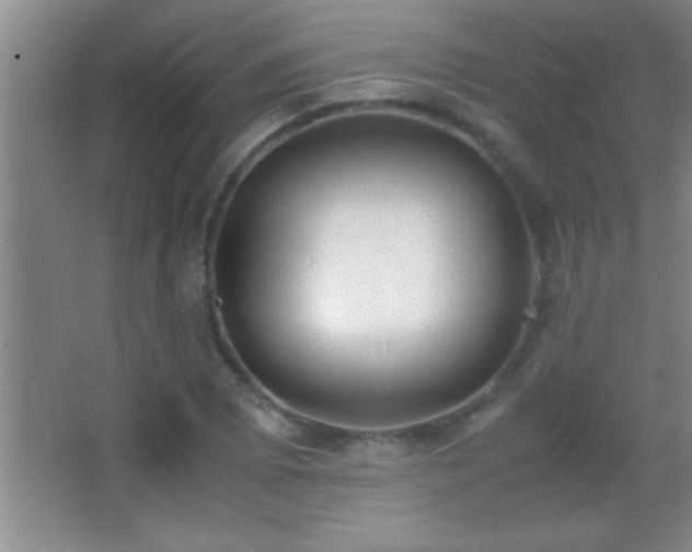X0000062901073200601131354