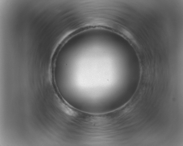 X0000062901076200601131354