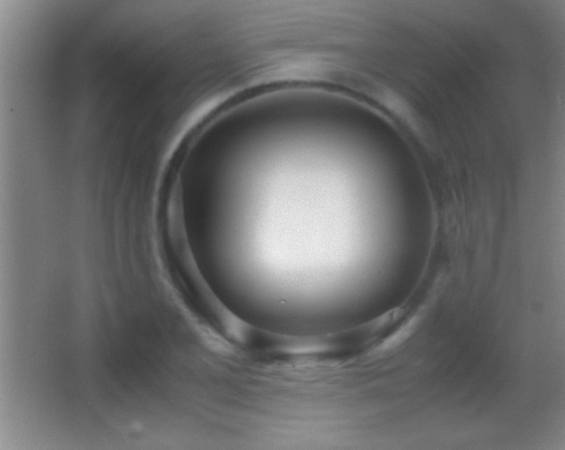 X0000062901077200601131354