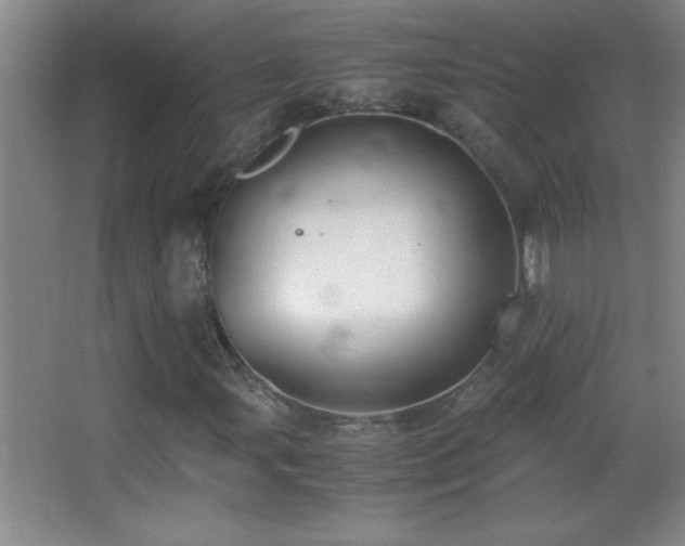 X0000062901107200601131353