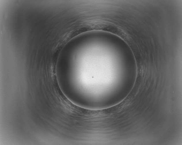 X0000062901108200601131353