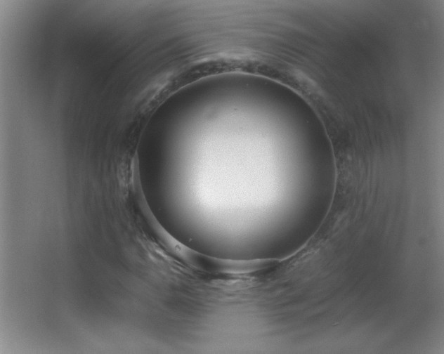 X0000062901110200601131353