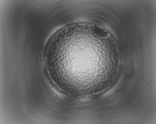 X0000062901117200601131353