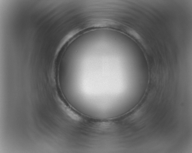 X0000062901122200601131353