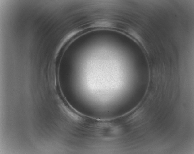 X0000062901123200601131353
