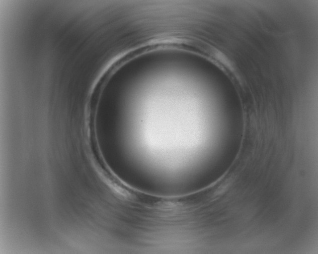 X0000062901124200601131353