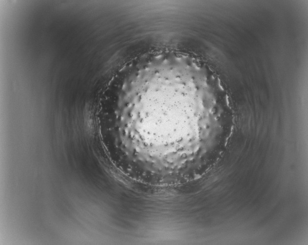 X0000062901154200601131353