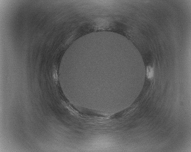 X0000062901155200601131353