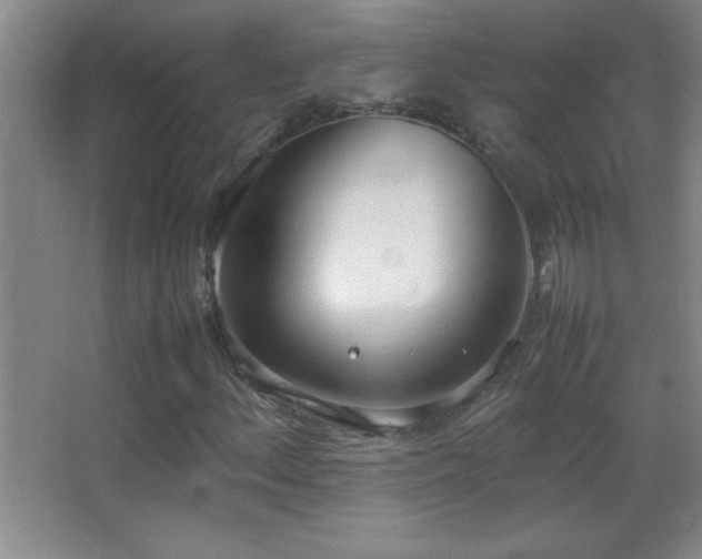 X0000062901156200601131353
