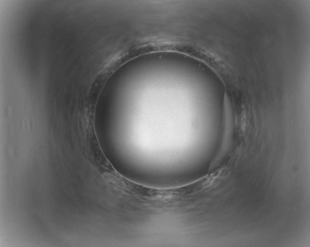 X0000062901157200601131353
