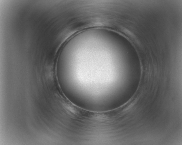 X0000062901170200601131353