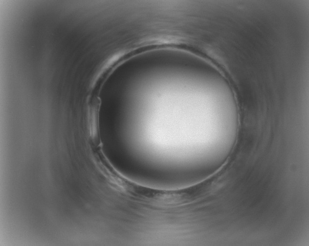 X0000062901171200601131353