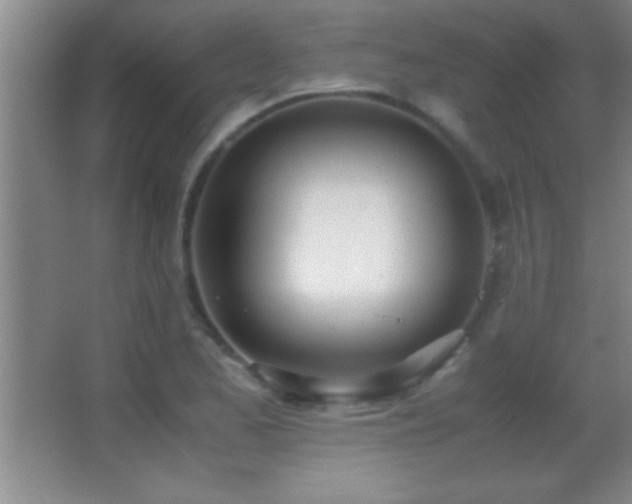 X0000062901173200601131352