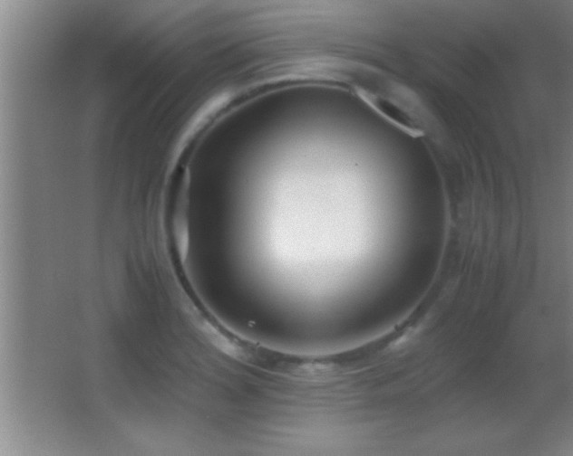 X0000062901180200601131352