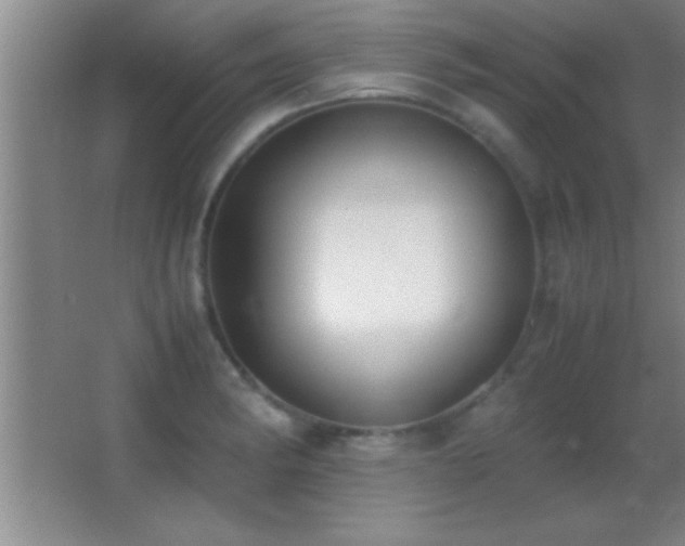 X0000062901182200601131352