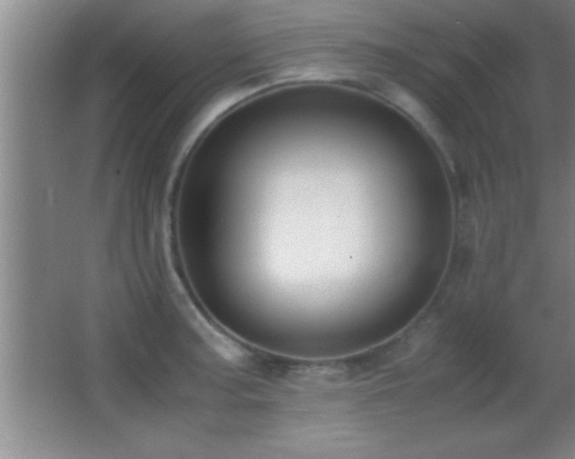 X0000062901187200601131352