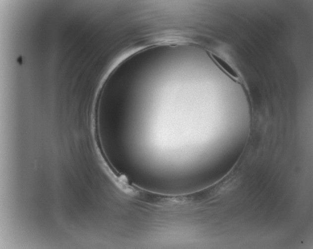 X0000062901195200601131352
