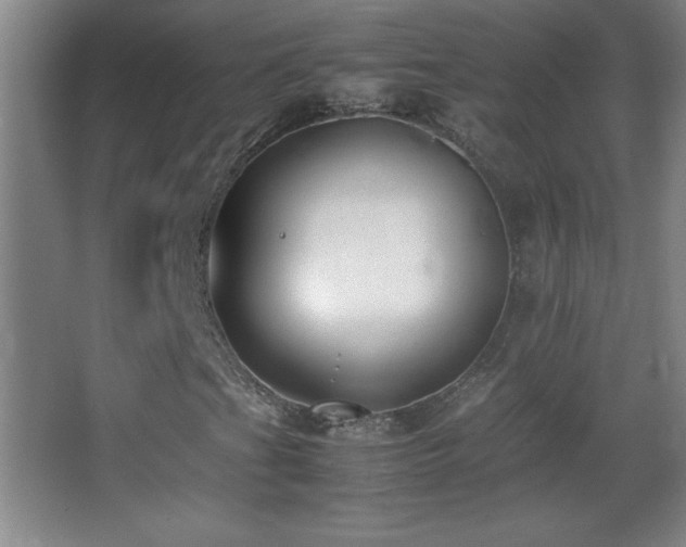 X0000062901201200601131351