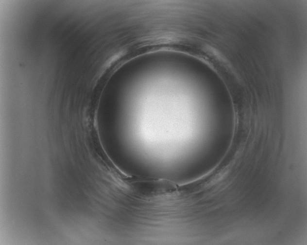 X0000062901210200601131351