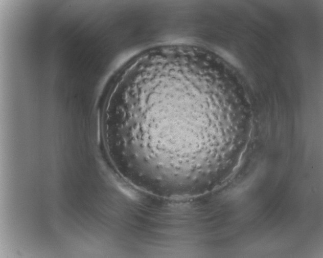 X0000062901223200601131352