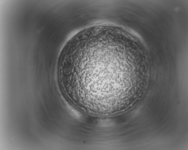 X0000062901231200601131352