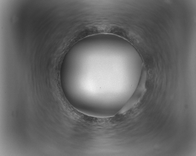 X0000062901249200601131351