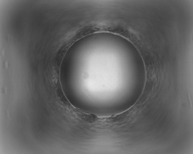 X0000062901253200601131351