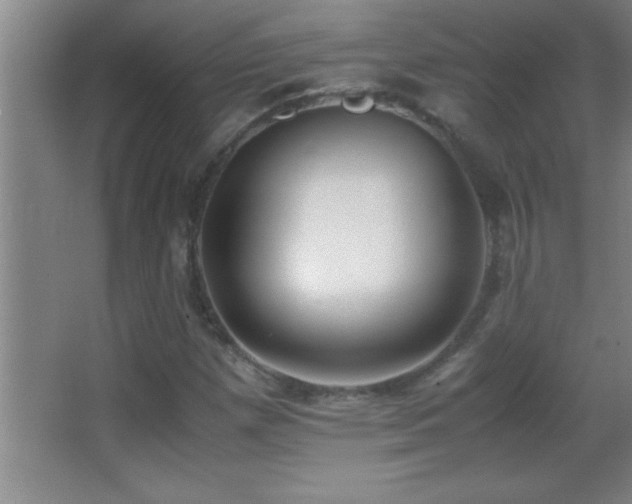 X0000062901257200601131351