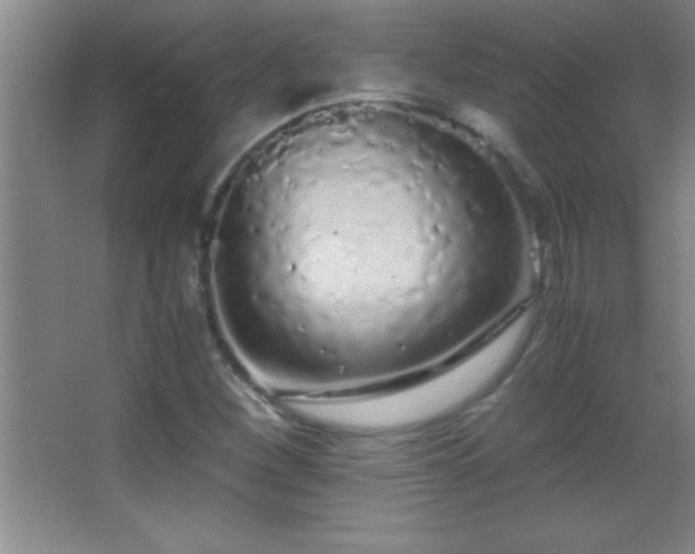 X0000062901260200601131351