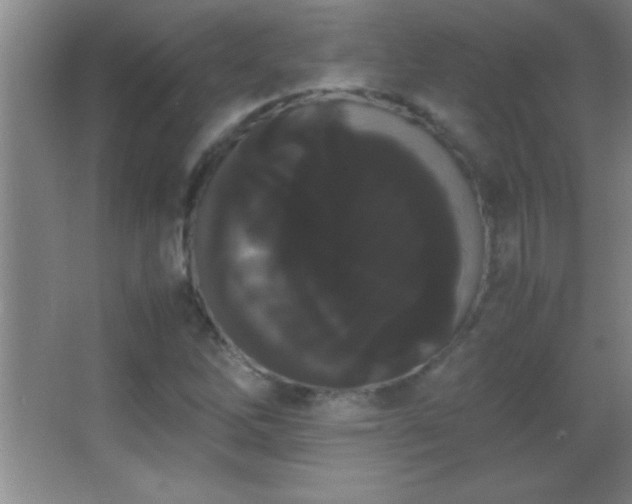 X0000062901262200601131351