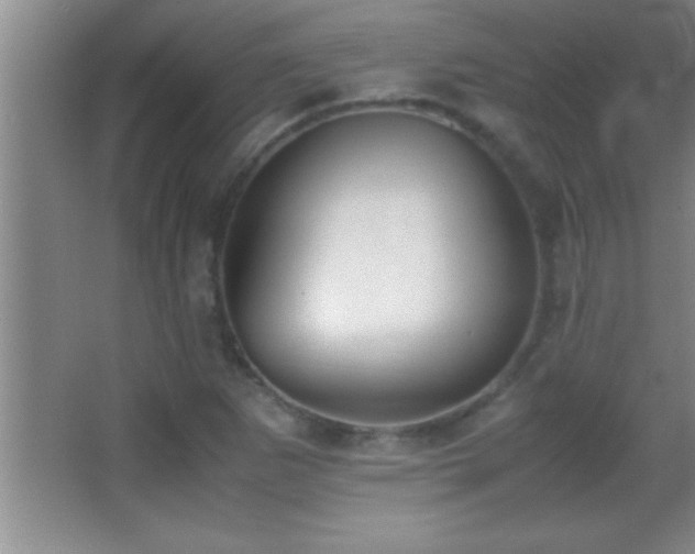 X0000062901265200601131351