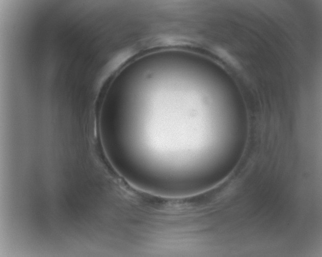 X0000062901269200601131351
