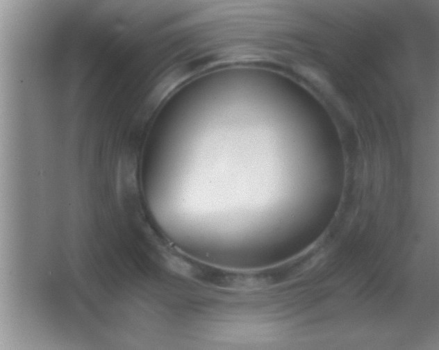 X0000062901273200601131351