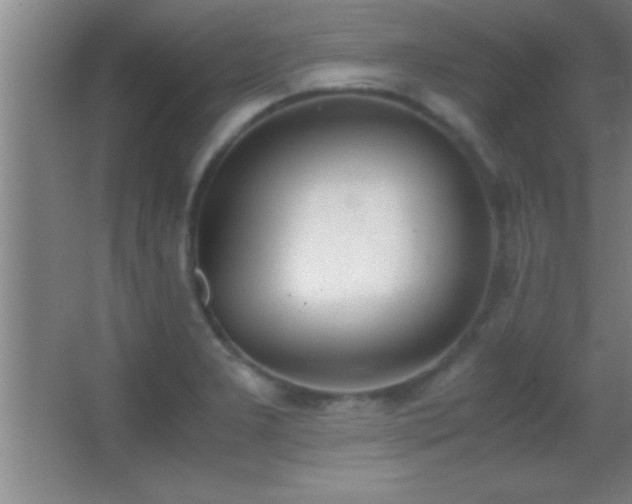 X0000062901277200601131351